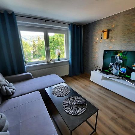 Orlicka Apartament Duszniki Zdrój Dış mekan fotoğraf