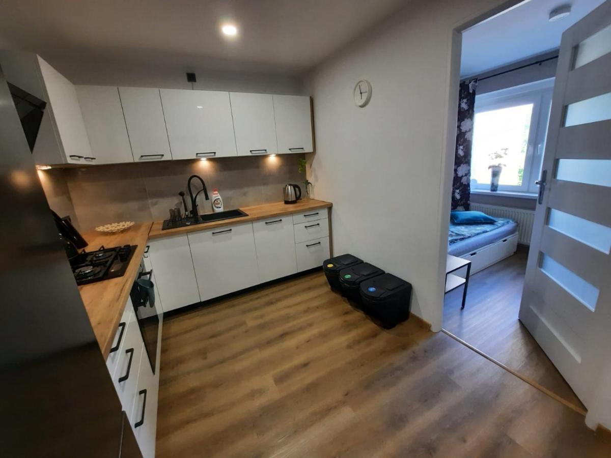 Orlicka Apartament Duszniki Zdrój Dış mekan fotoğraf